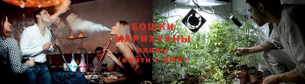 амф Магадан